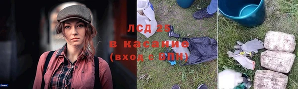 PSILOCYBIN Бугульма
