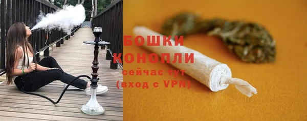 PSILOCYBIN Бугульма