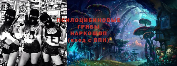 PSILOCYBIN Бугульма