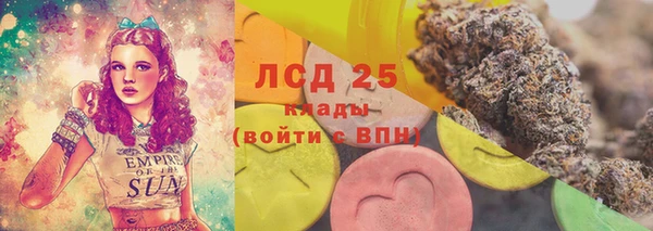 PSILOCYBIN Бугульма