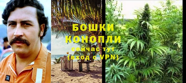 PSILOCYBIN Бугульма