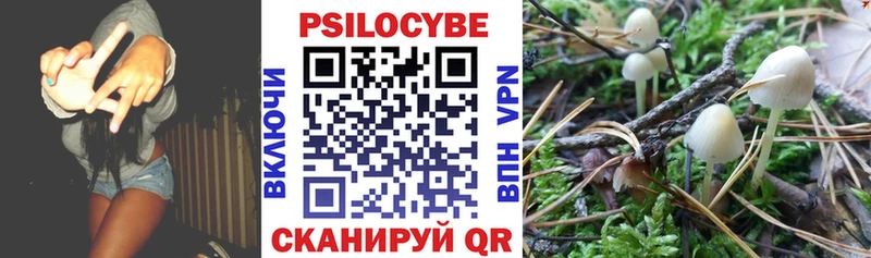 Галлюциногенные грибы MAGIC MUSHROOMS  Кировск 